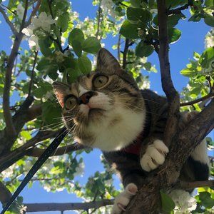 Meet your Posher, Ruby